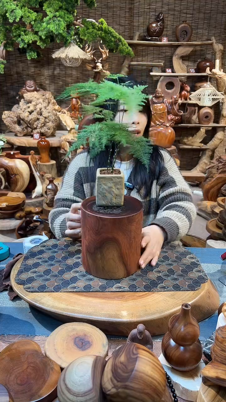 木香樟木-正圆边000