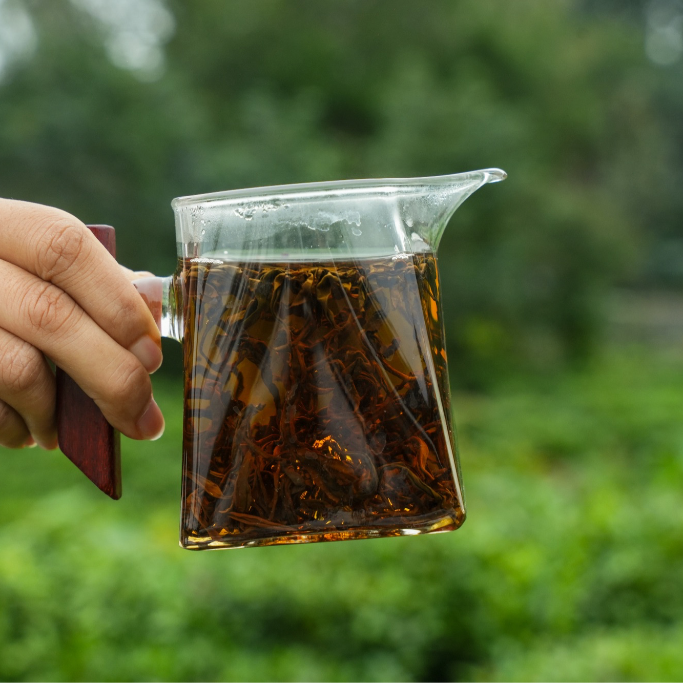 【新年红茶福利礼盒】薯香浓郁/甘甜顺滑/日照红茶/2025年新茶礼盒