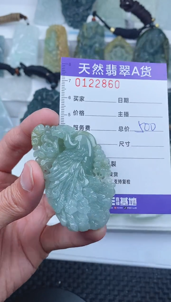 【闪购商品】翡翠颈饰未镶嵌        860
