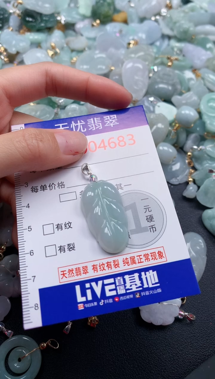 颈饰未镶嵌翡翠4683