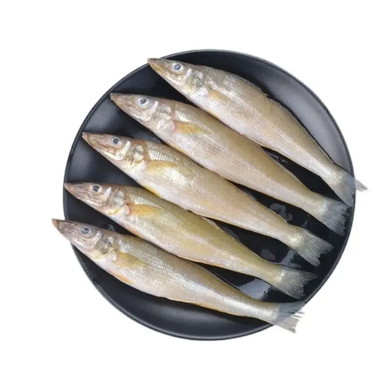【冰鲜】金沙尖/沙梭 约500g±50g