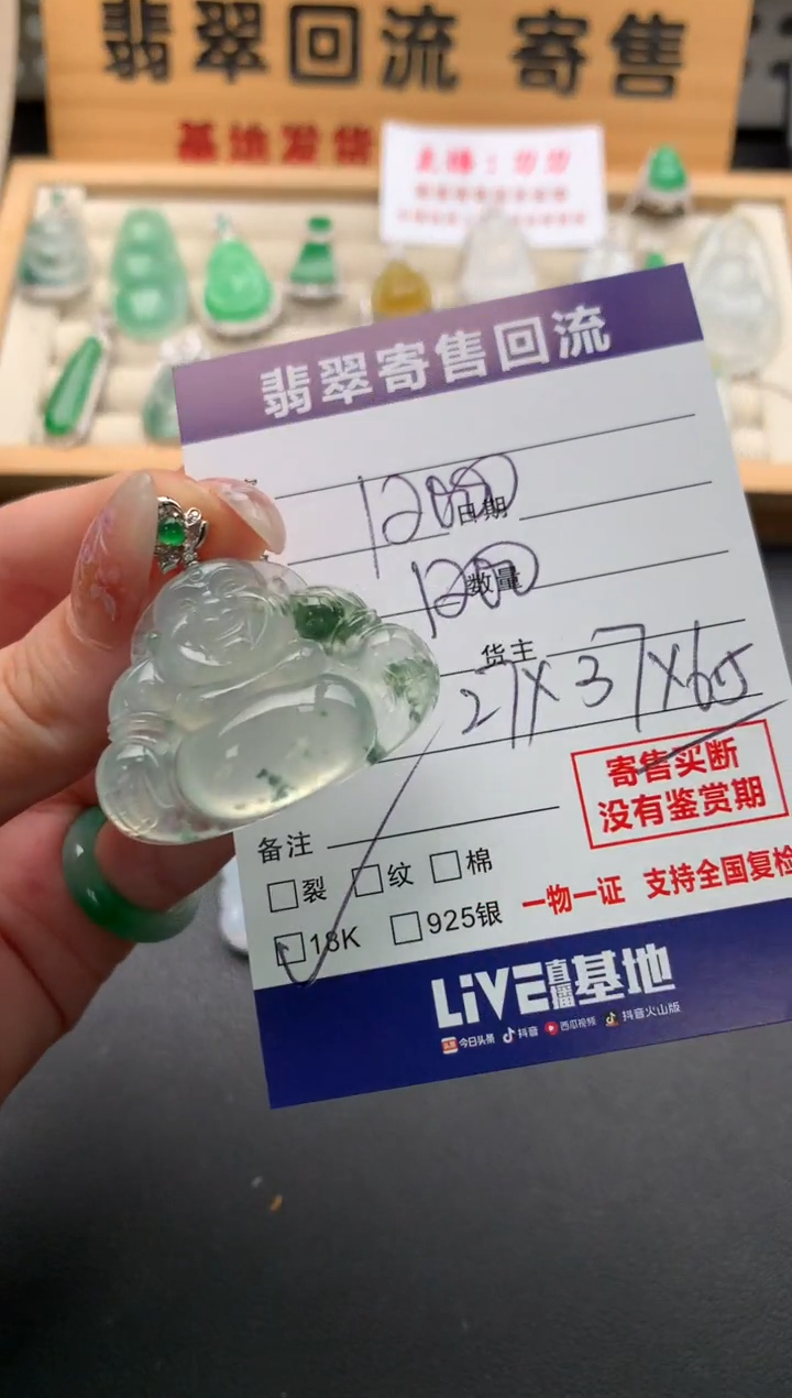 翡翠18K金镶嵌颈饰10133364