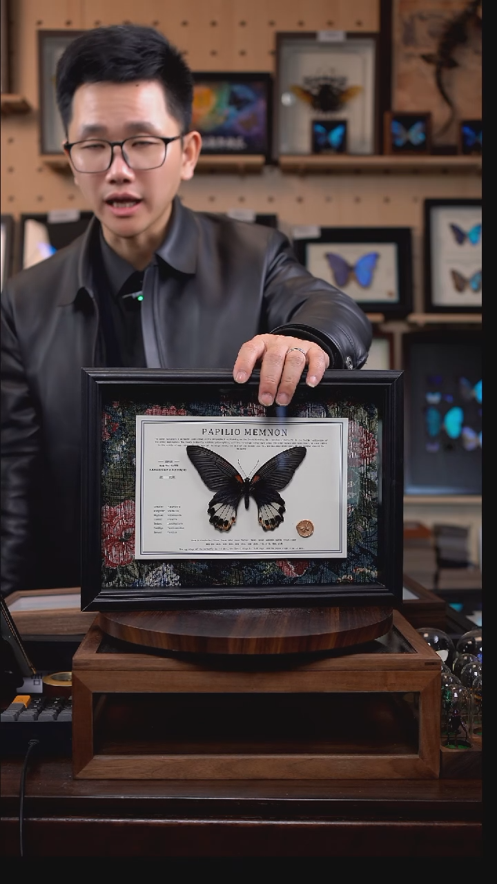 美凤蝶无尾A4横框布艺款