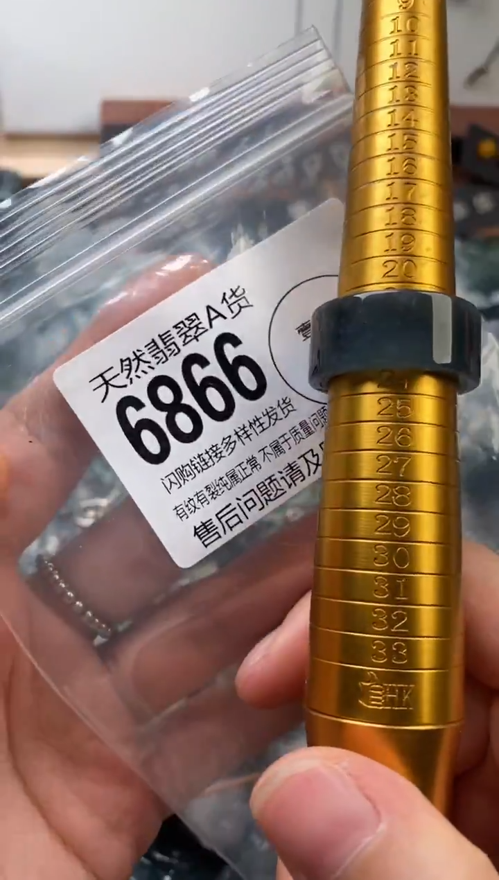 颈饰未镶嵌翡翠翡翠6866