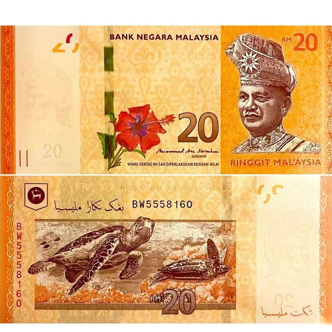 【亚洲】马来西亚20林吉特 全新UNC纸币 老纸钞外国钱币收藏