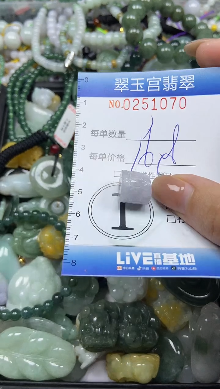 颈饰未镶嵌翡翠闪购C0251070