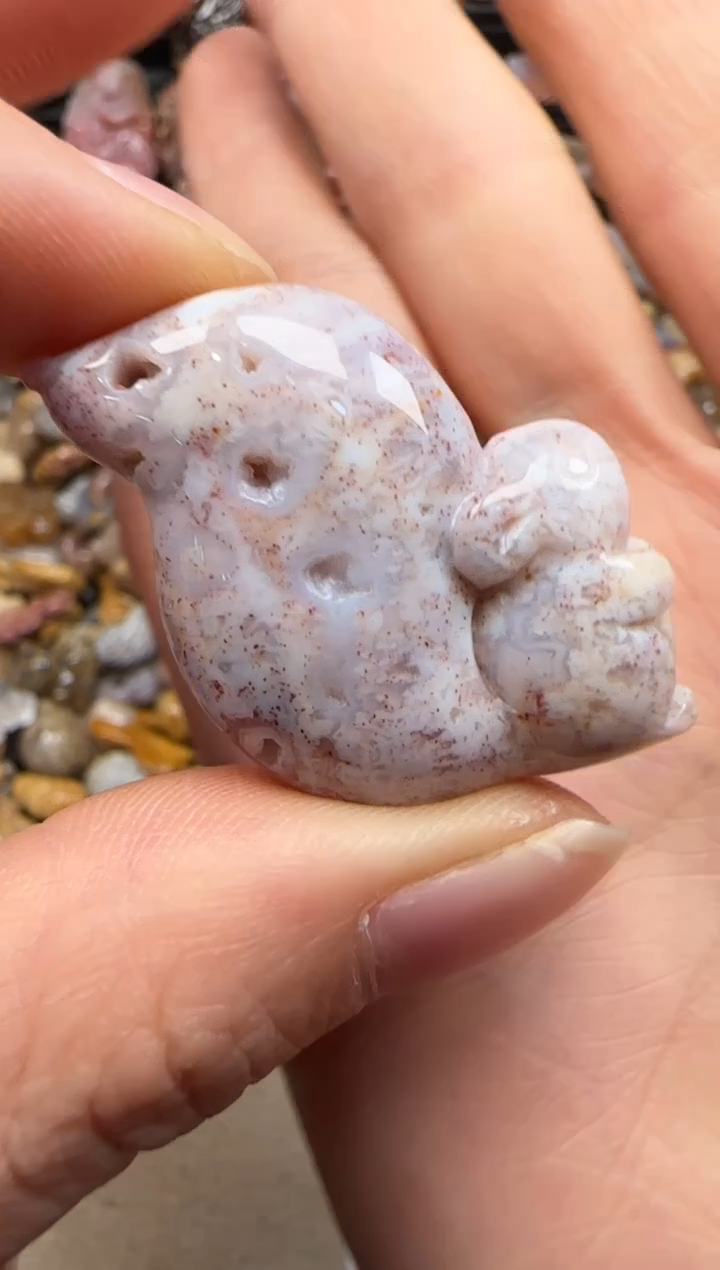 【闪购商品】硅化珊瑚（珊瑚玉）颈饰未镶嵌065