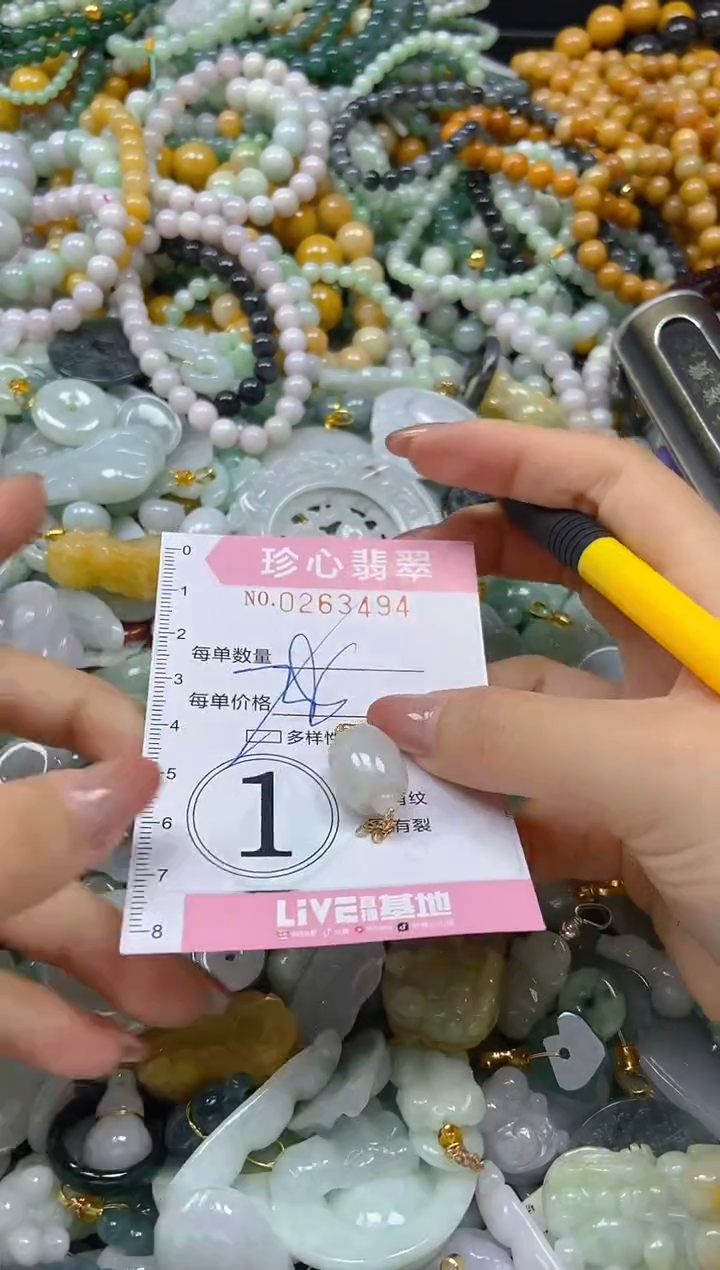 翡翠未镶嵌颈饰闪购0263494多样性发其一