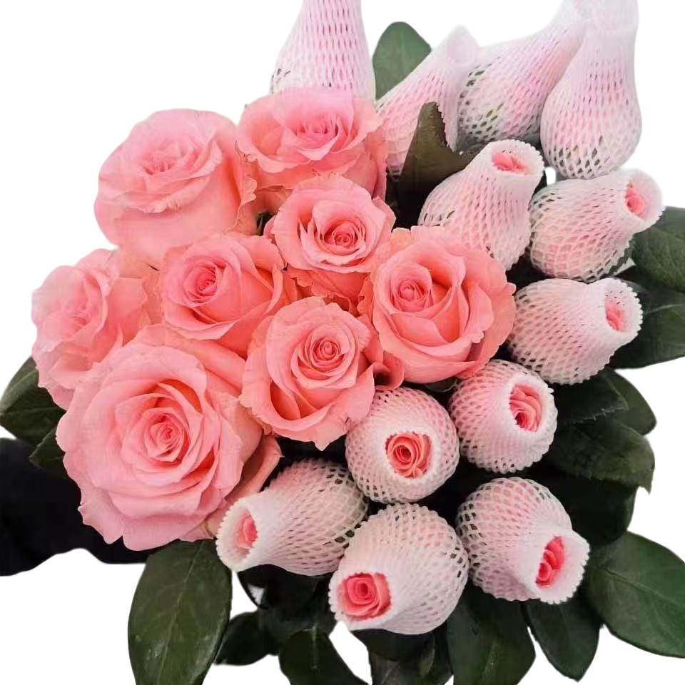 【福利款】基地自种鲜花   戴安娜10支