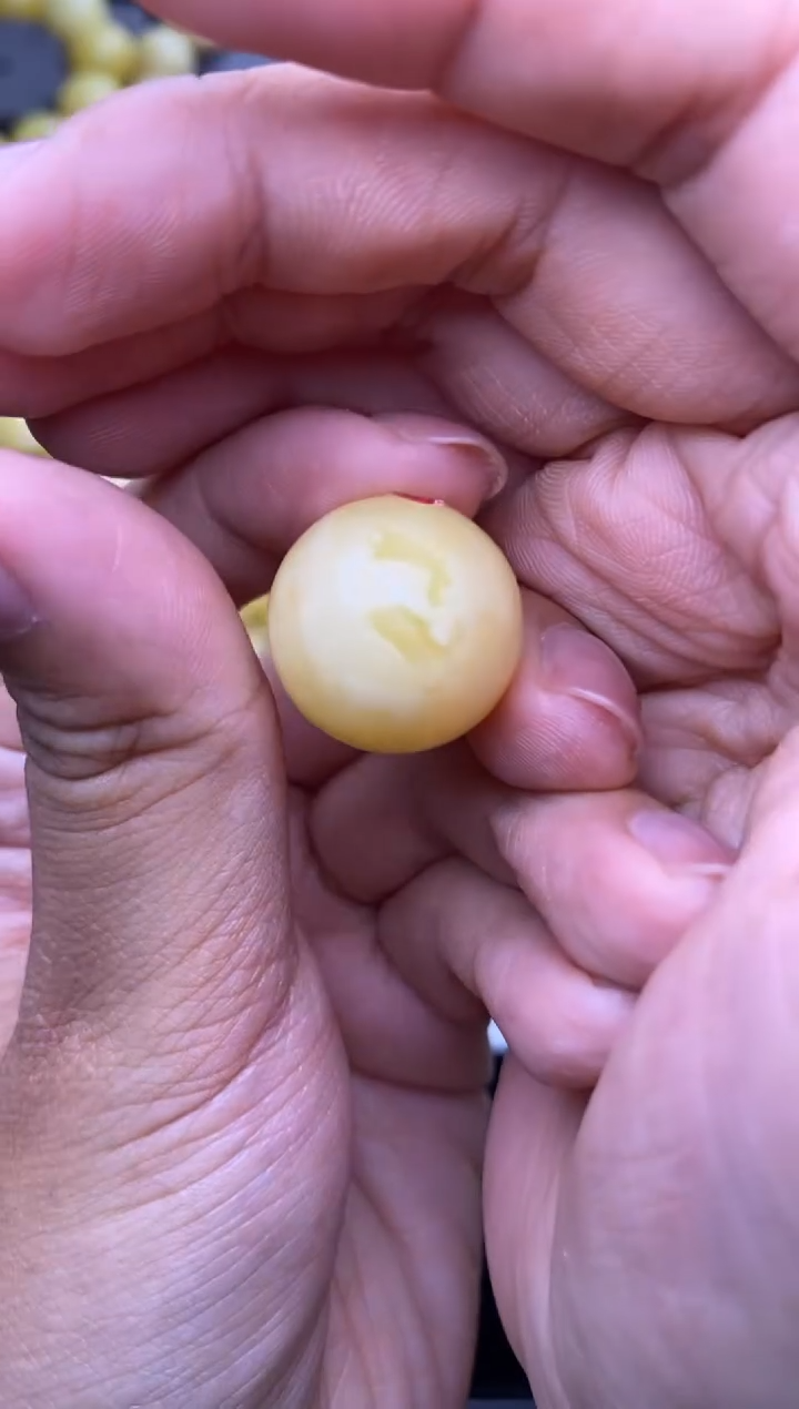 裸石琥珀未镶嵌大小姐珠宝81
