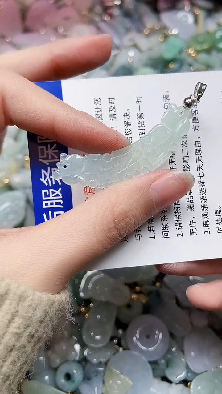 【闪购商品】翡翠颈饰未镶嵌闪购00000446