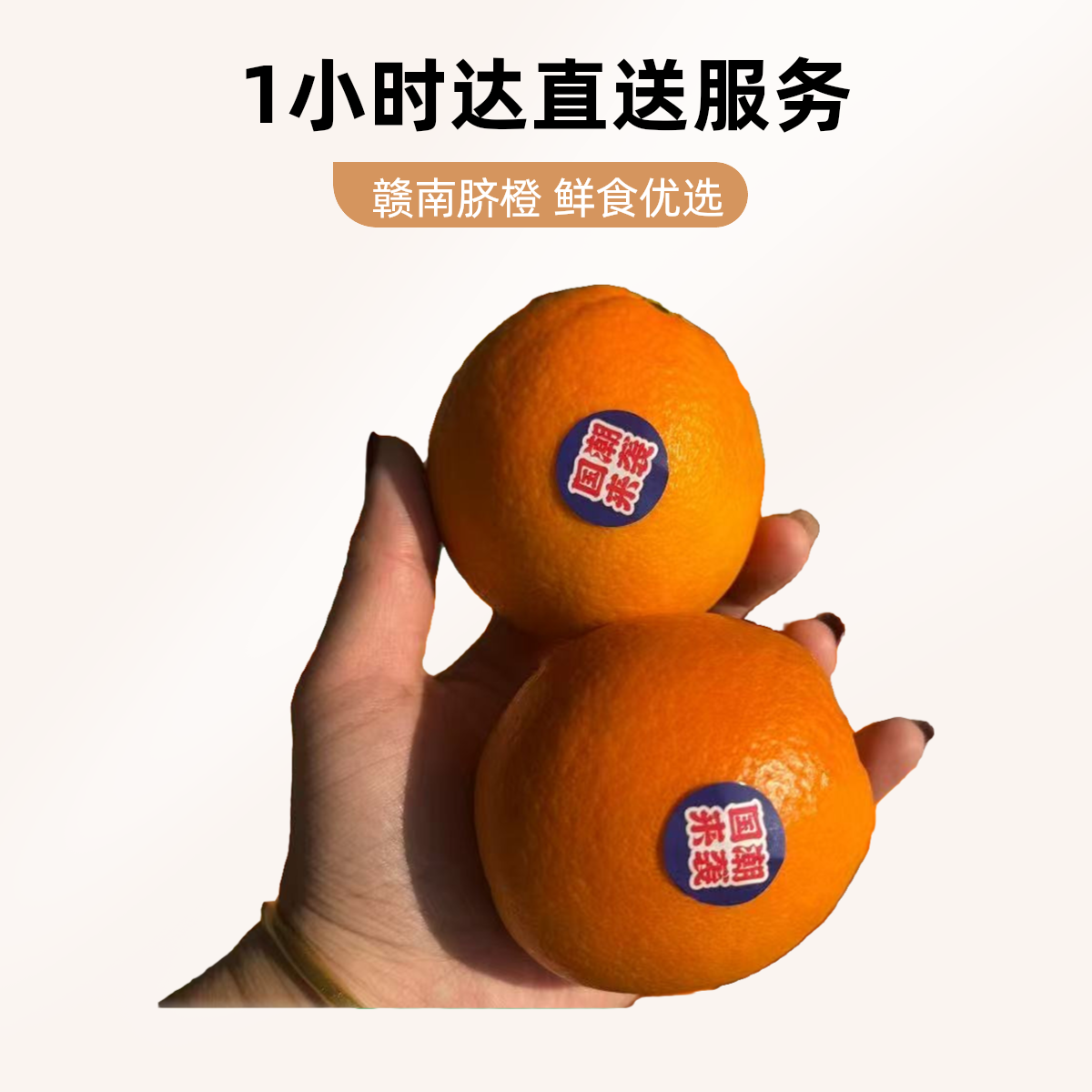 【1小时达直送】小件礼盒橙/11个