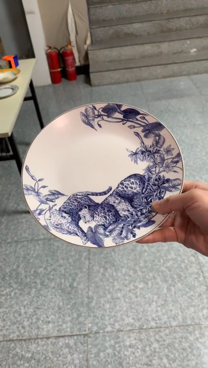 【闪购商品】瓷片CC354陶瓷没有完美无瑕陶瓷1个8寸