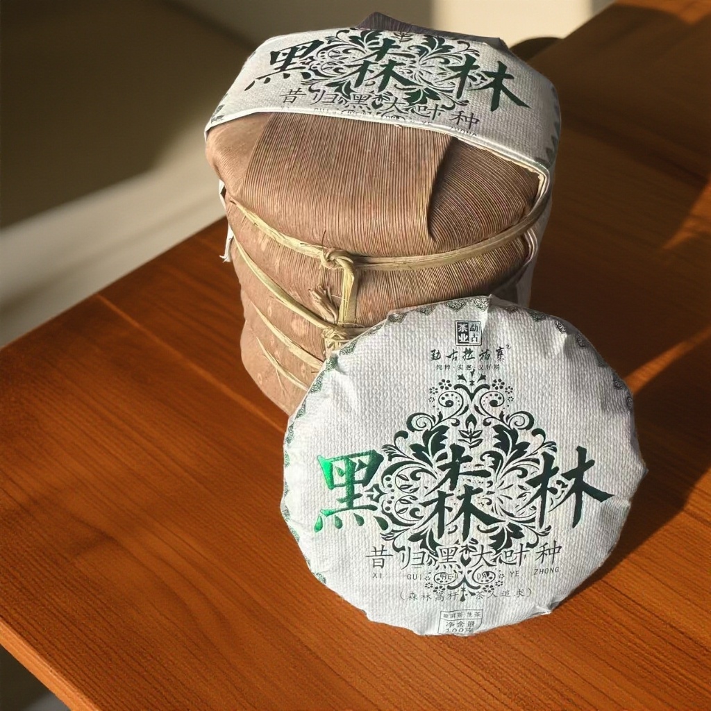 2025年昔归黑森林普洱生茶饼100克（拍1发6）