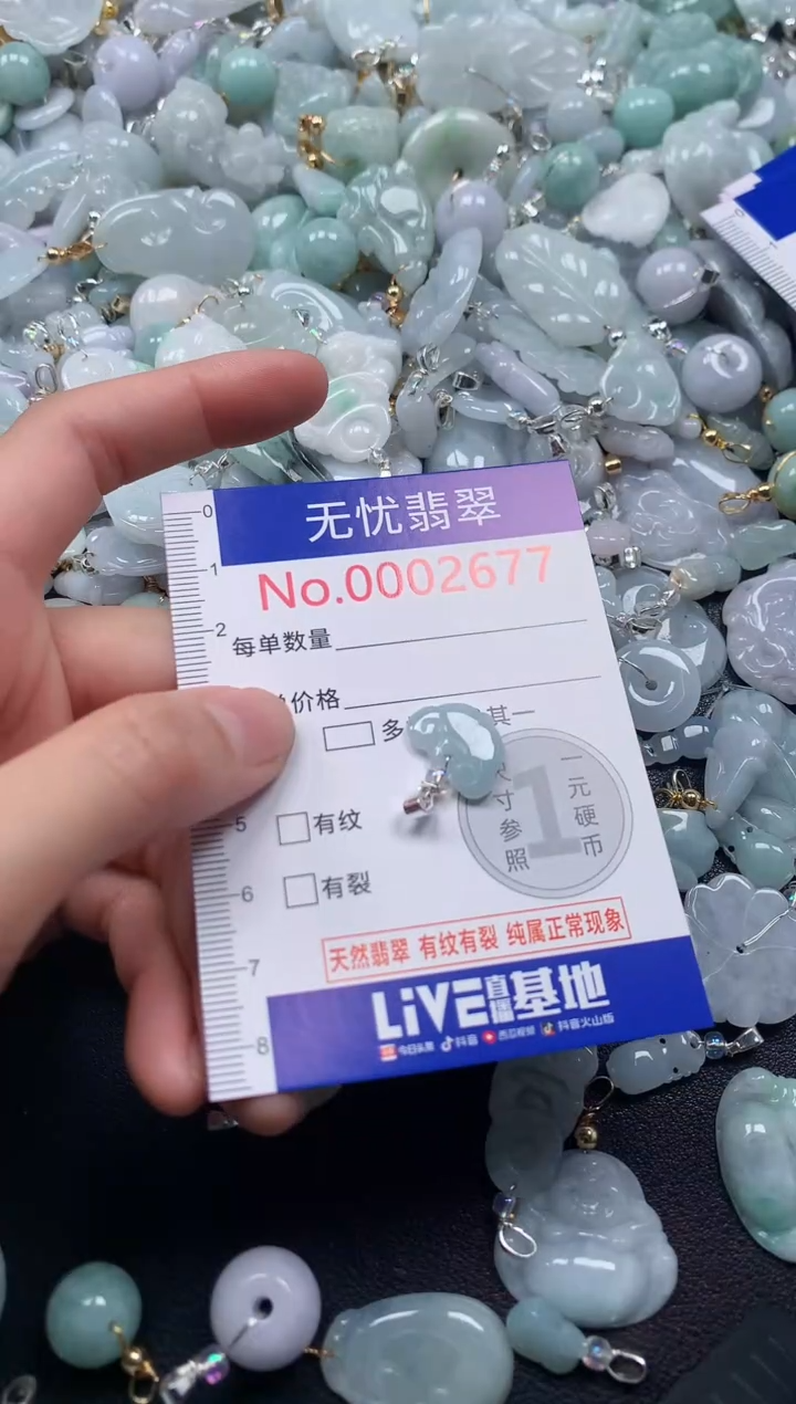 颈饰未镶嵌翡翠2677