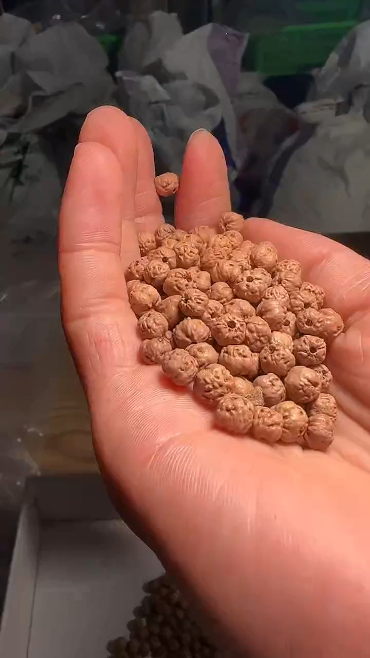 金刚菩提手串非全品原桩佛手散籽6-7mm左右一份一百颗