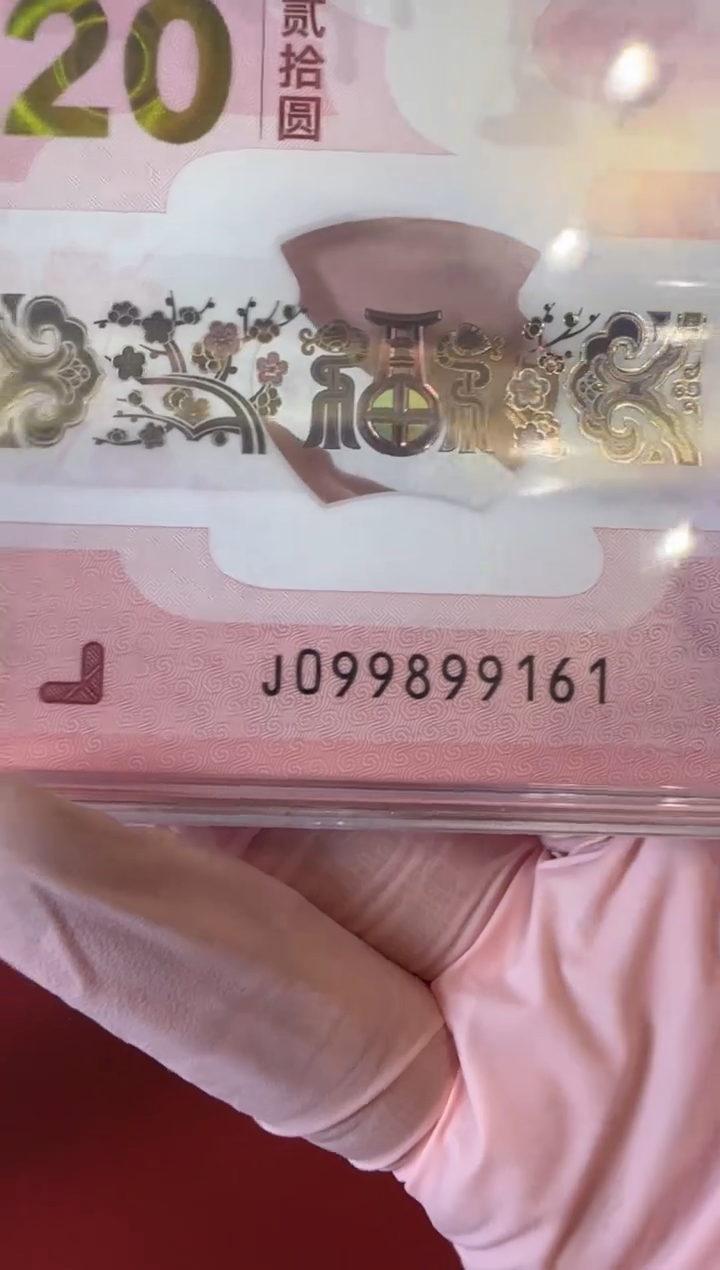 【闪购商品】塑料25蛇钞099899161单张裸