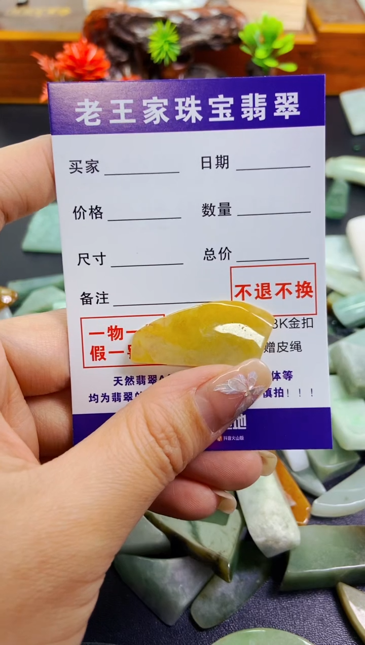 【闪购商品】翡翠颈饰未镶嵌料子
