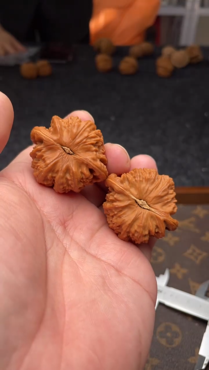 把件文玩核桃B18号40尺白狮子