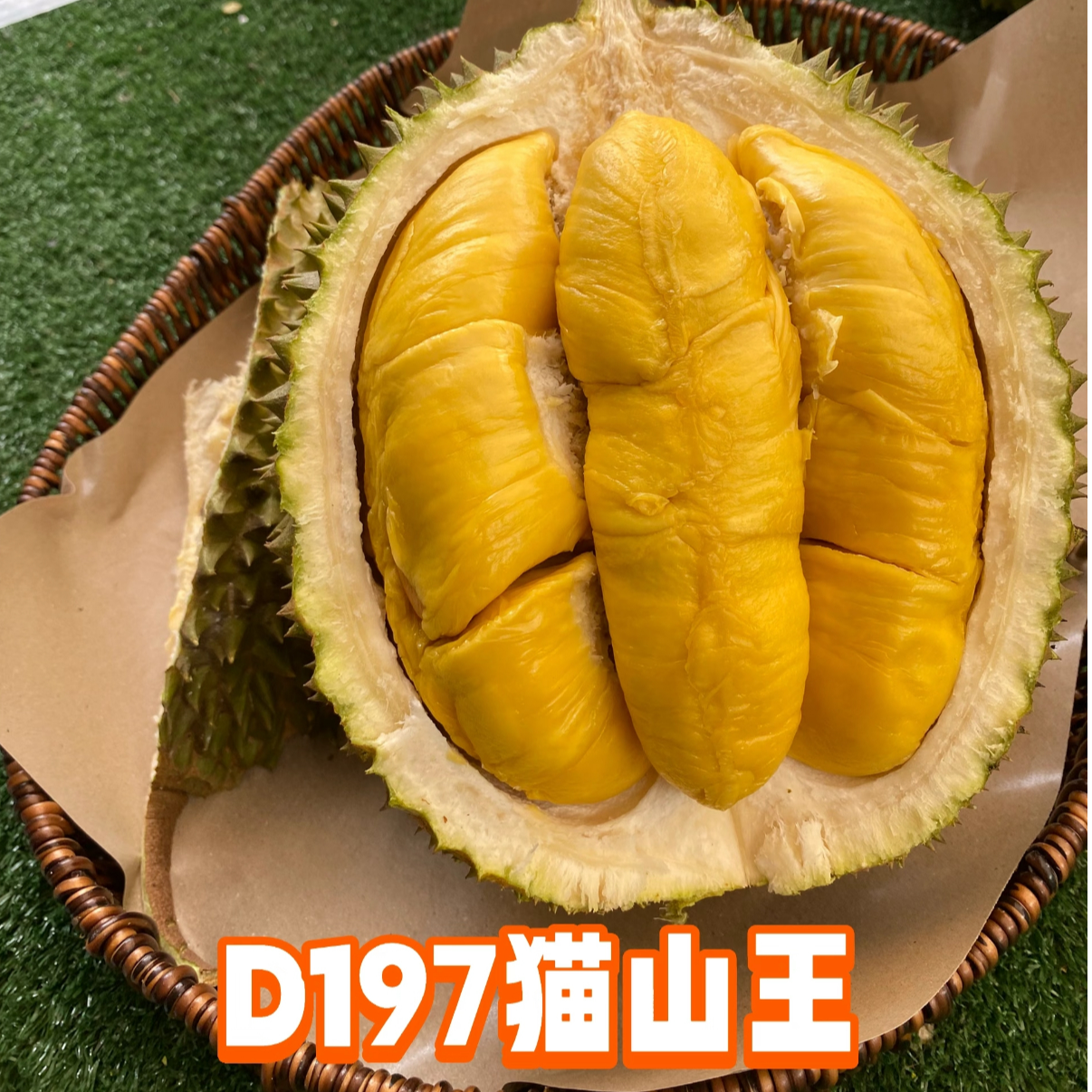 【一物一拍】马来西亚D197双A猫山王鲜果带壳顺丰空运包邮