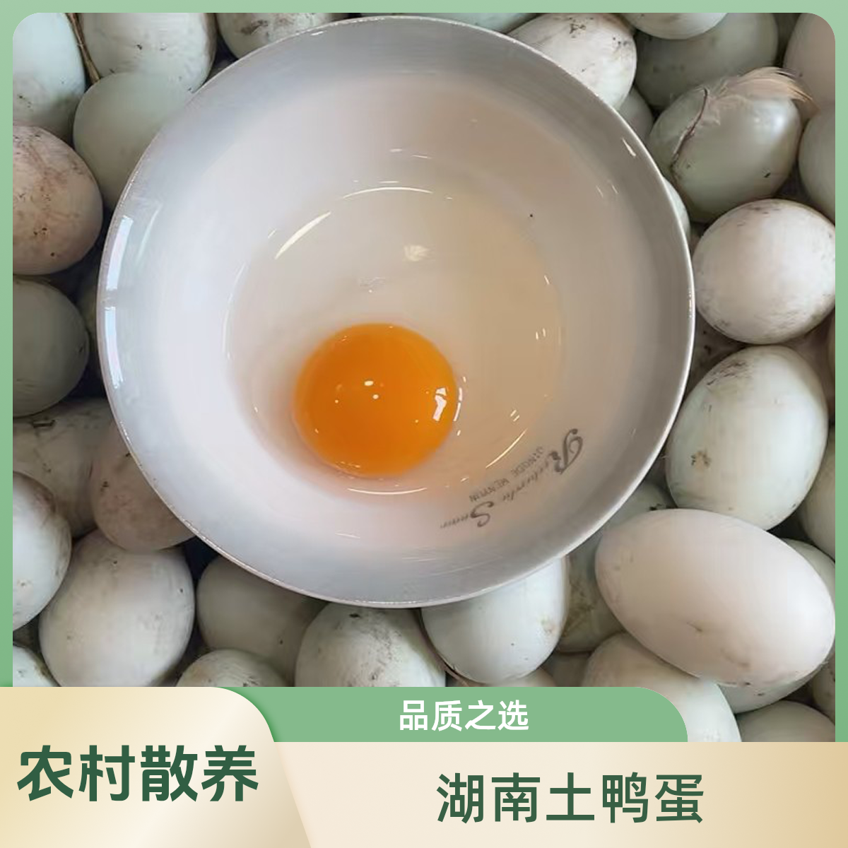 湖南农村散养耒阳正宗土鸭蛋
