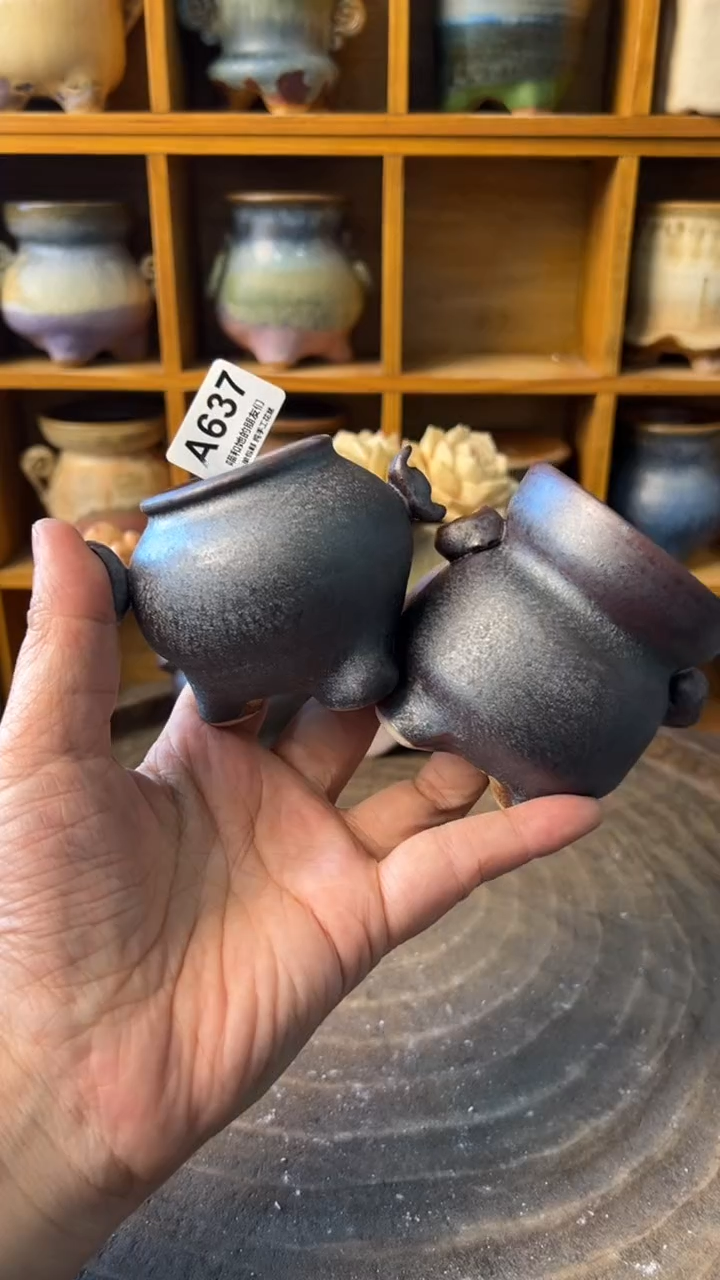 5****5637【多肉花盆多肉盆】