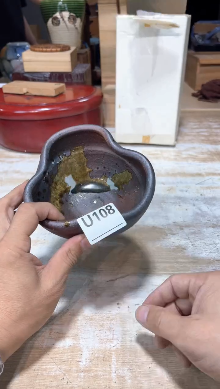 念*直播定闪专用链接123