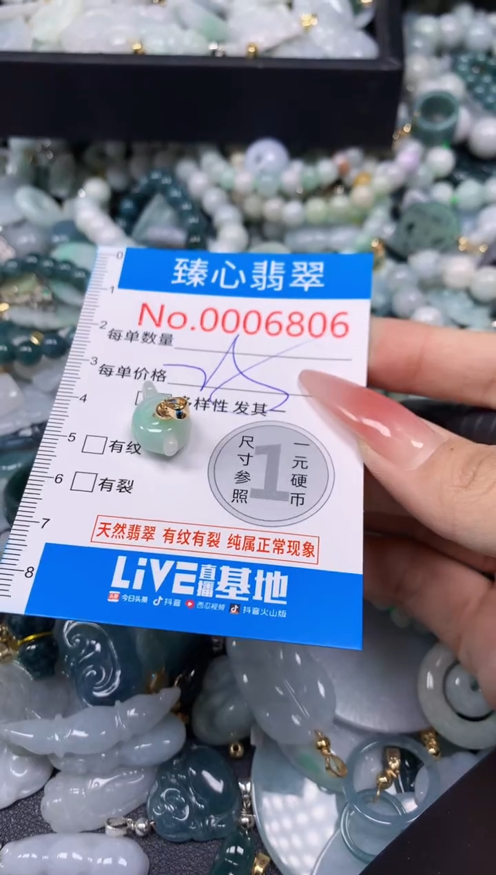 【闪购商品】翡翠颈饰未镶嵌含绳0006806