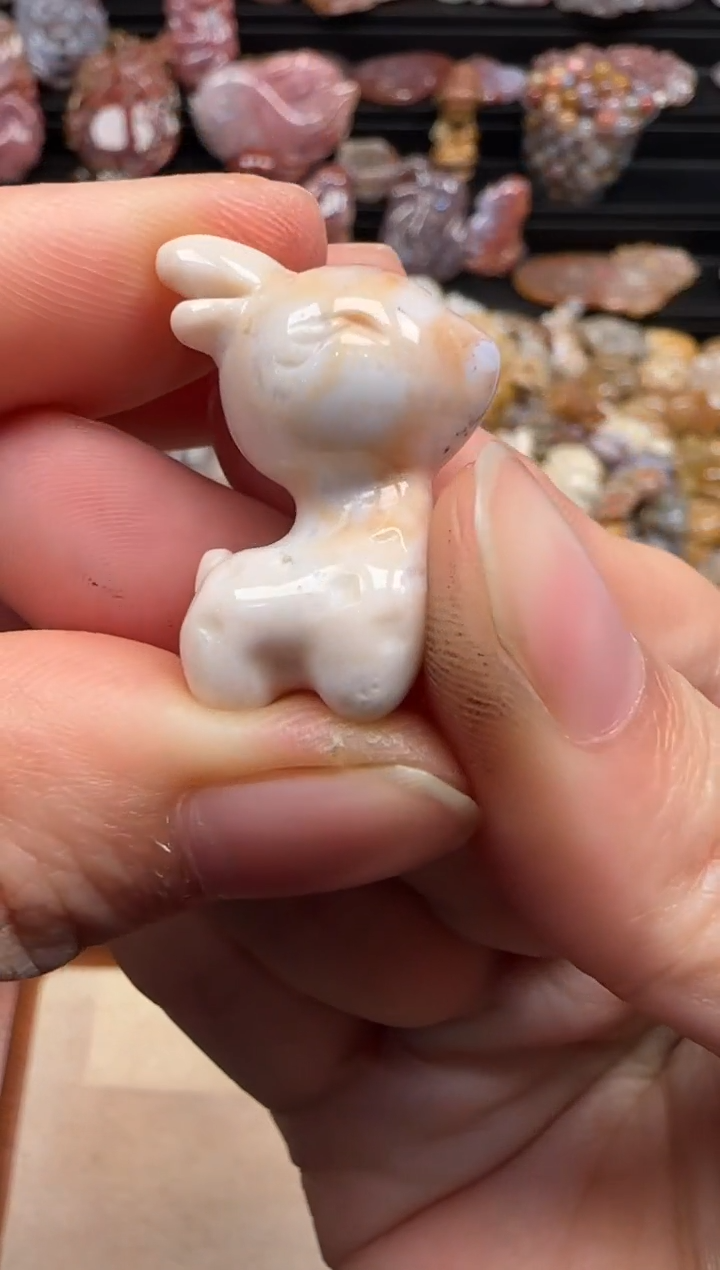 【闪购商品】硅化珊瑚（珊瑚玉）颈饰未镶嵌302