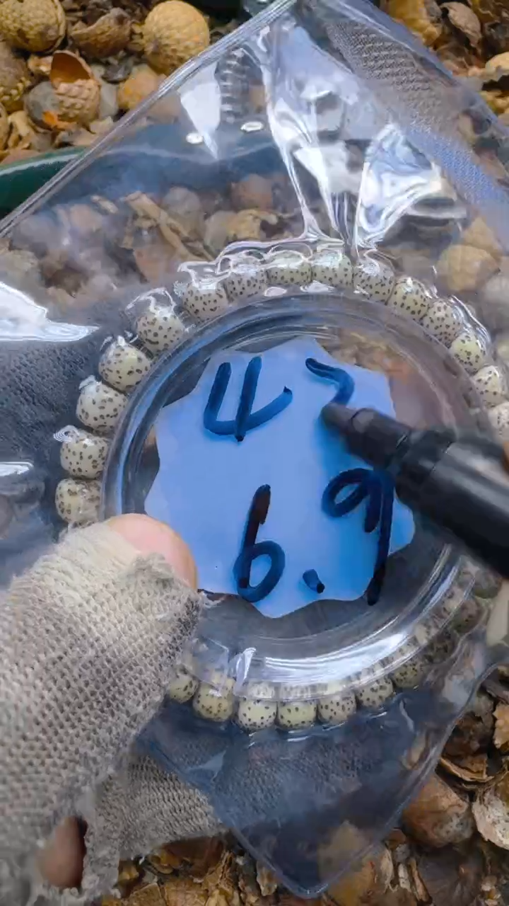 【闪购商品】星月菩提吊坠青稞手作精品文玩42