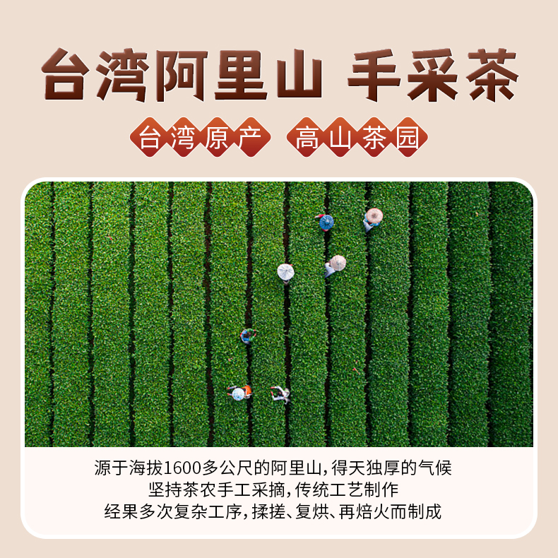 中国台湾阿里山原产进口高山云雾乌龙品鉴装大赛级好茶