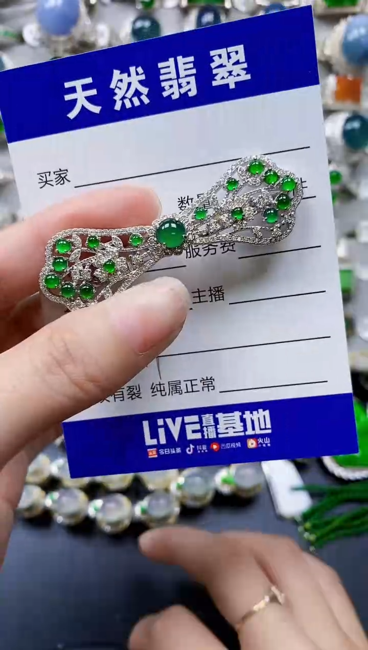 翡翠银S925镶嵌颈饰03999