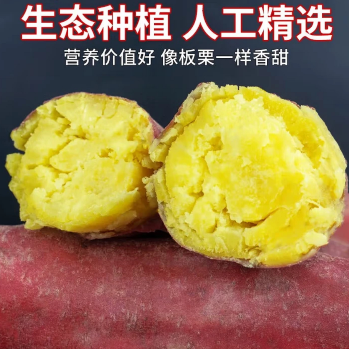 板栗红薯新鲜现挖粉糯香甜正宗沙地龙九番薯好吃