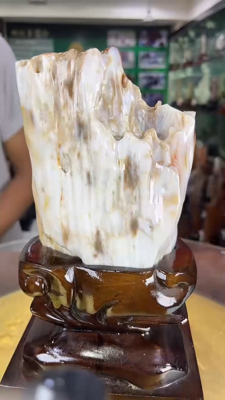 未镶嵌珠宝奇石硅化玉缅甸天然树化玉摆件