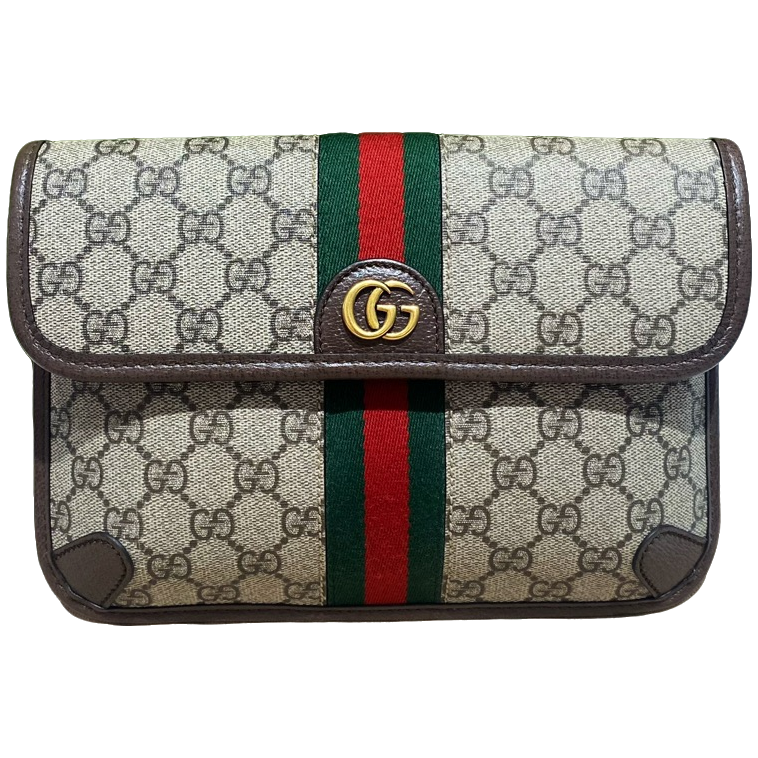 未使用 GUCCI/古驰 Gucci古驰ophidia新款胸包 （6334）