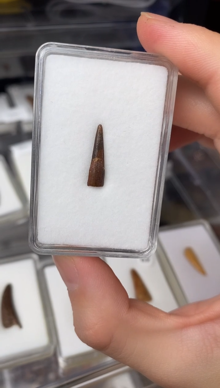 精美摆件创意礼物家居配饰新年礼物个人收藏