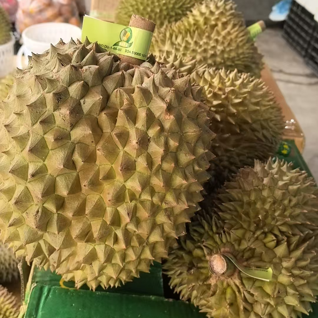 泰国新鲜金枕榴莲整果核小一果一重金枕泰国