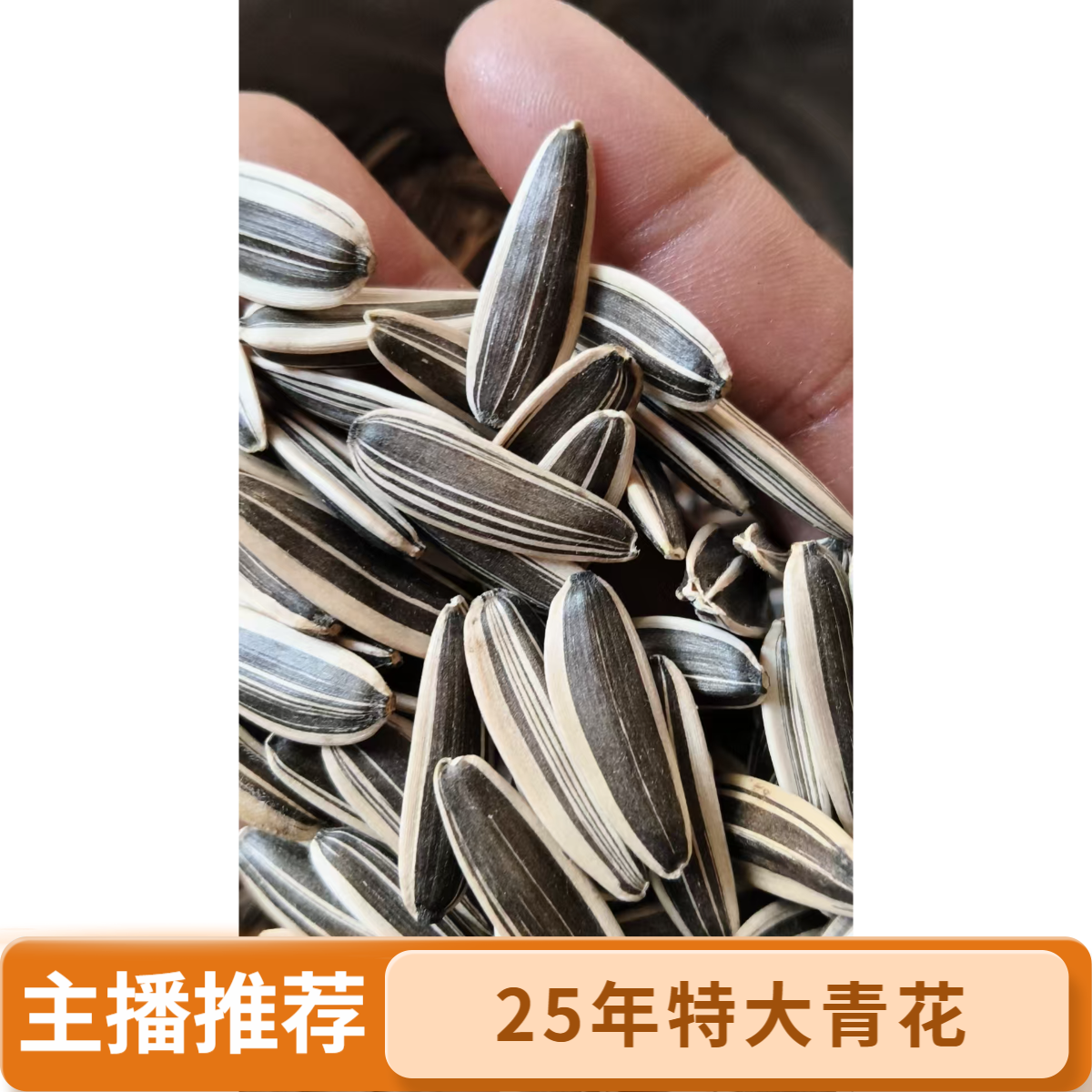 极品大青花生瓜子高端生瓜子25年新货