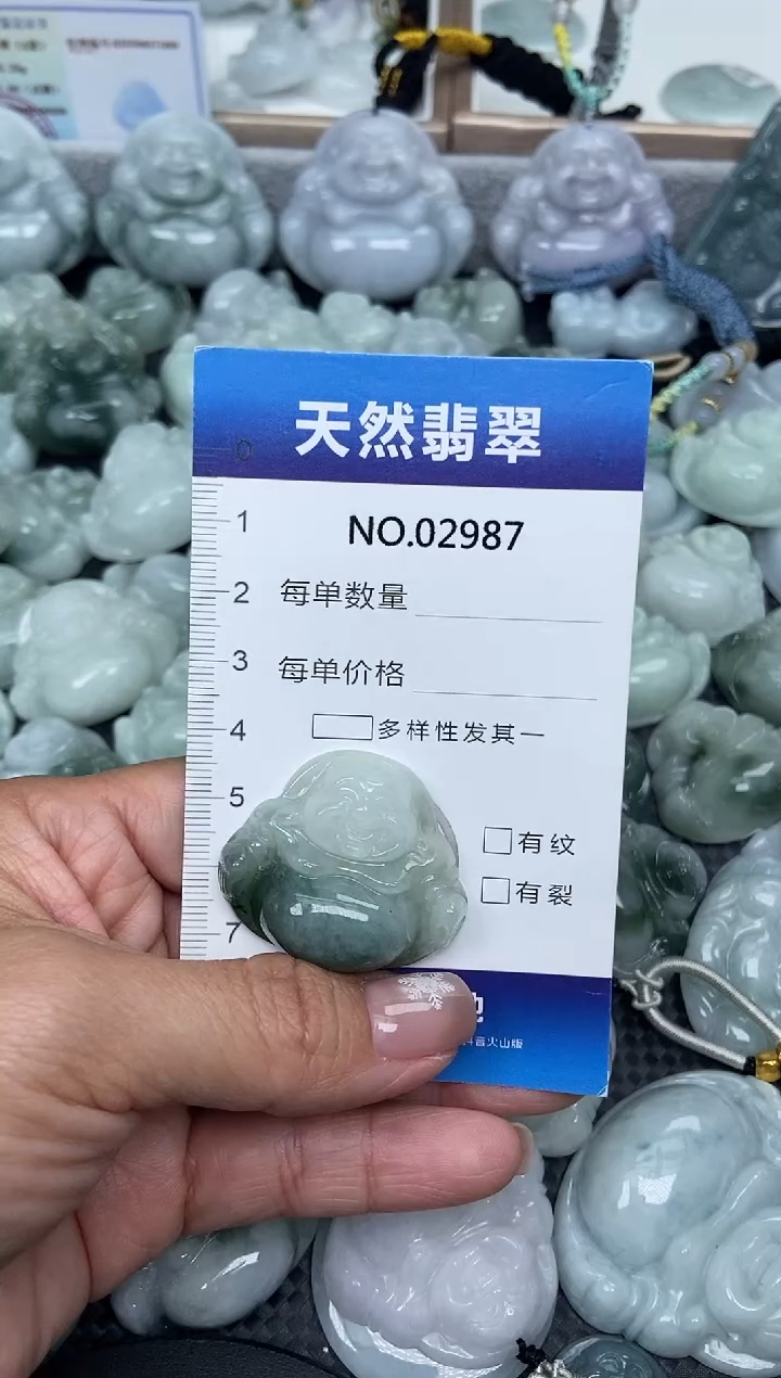 颈饰未镶嵌翡翠纯天然A货翡翠2987