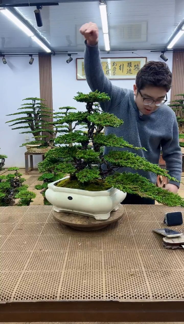 无花朵00000000000