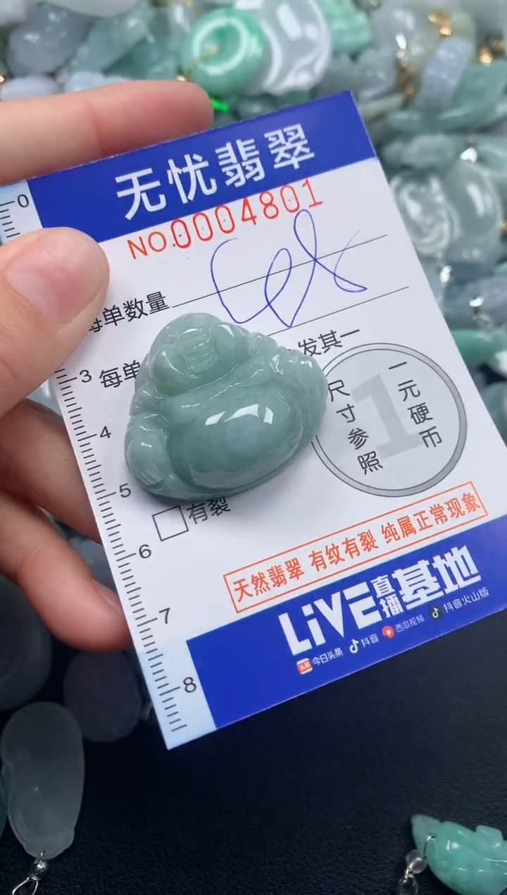 颈饰未镶嵌翡翠4801