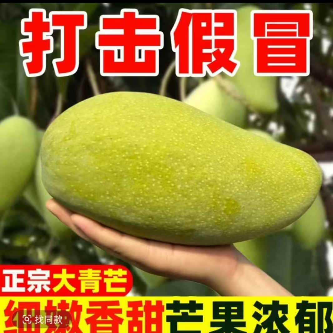 大青芒新鲜采摘水果当季青皮薄皮
