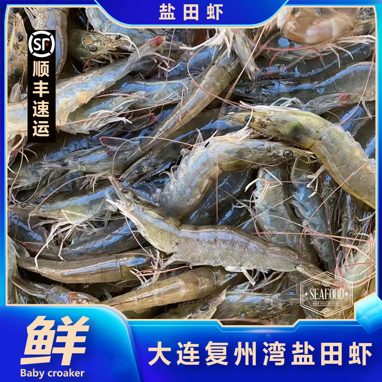 新【大号虾】正宗大连复州湾盐田虾，三斤净重冷冻发货顺丰包邮保鲜