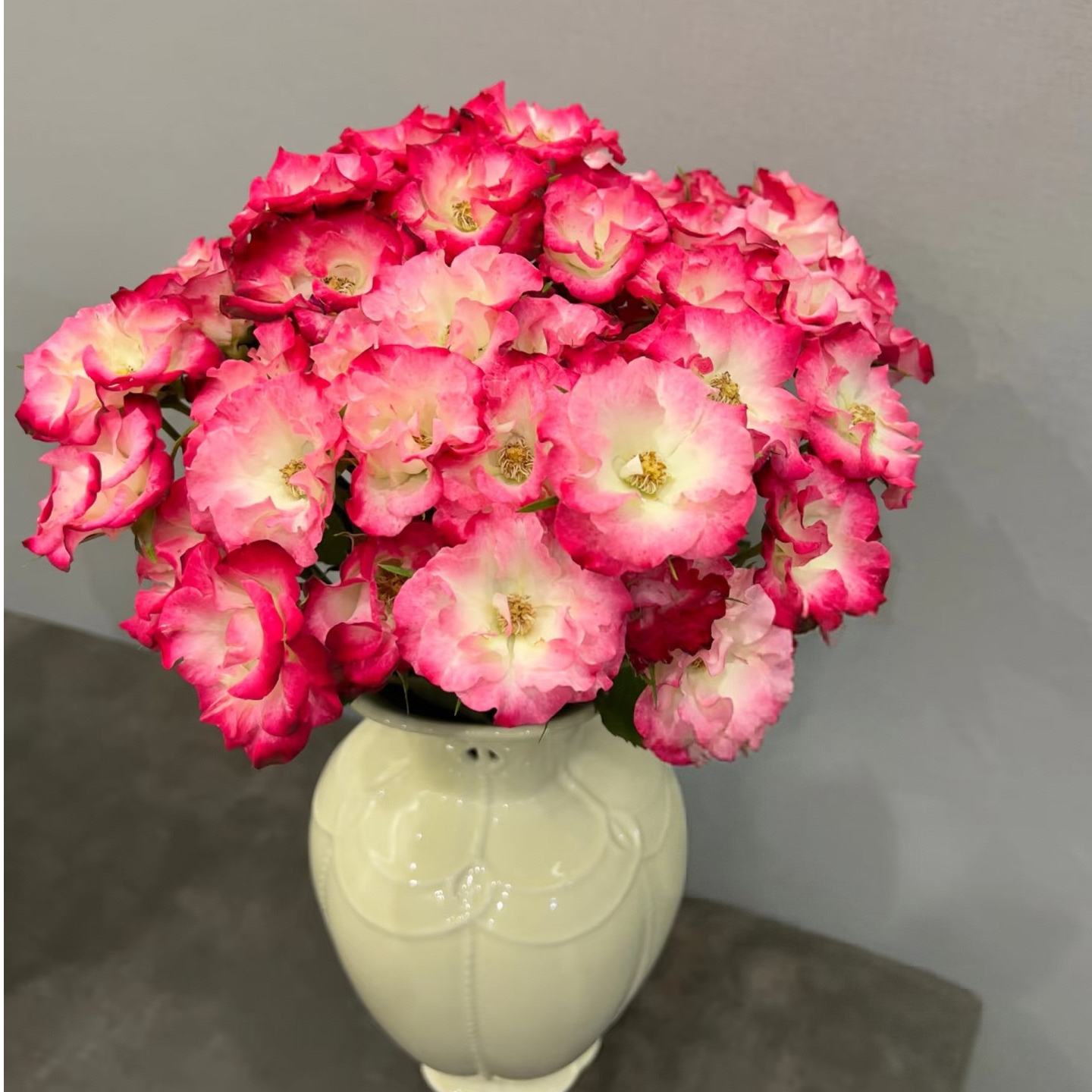 【独鬏鬏优选】云南稀有[画扇] 稀有小众 多头玫瑰 顺丰直发