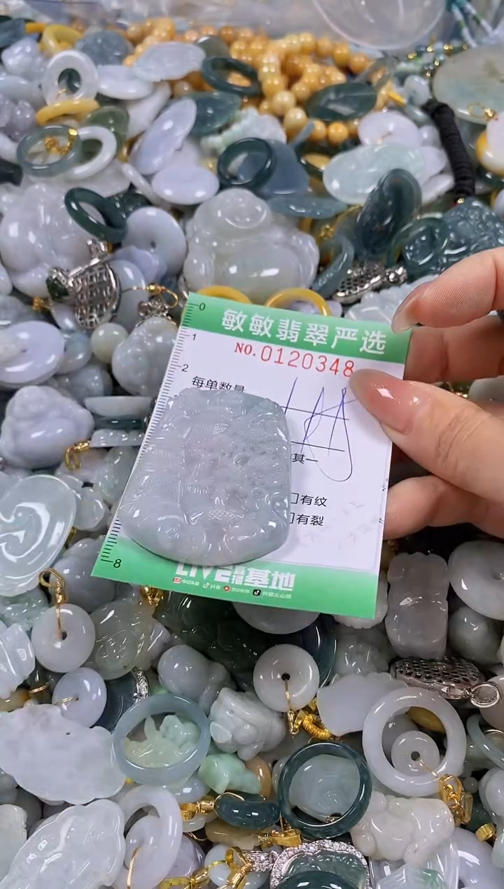 【闪购商品】翡翠颈饰未镶嵌闪购0120348