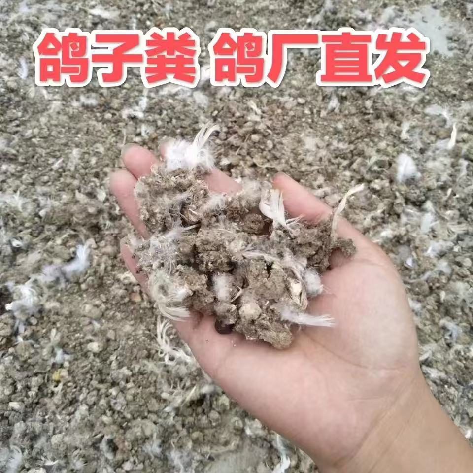 5斤鸽粪有机肥无添加有机肥鸽粪直发包邮鸽子粮食