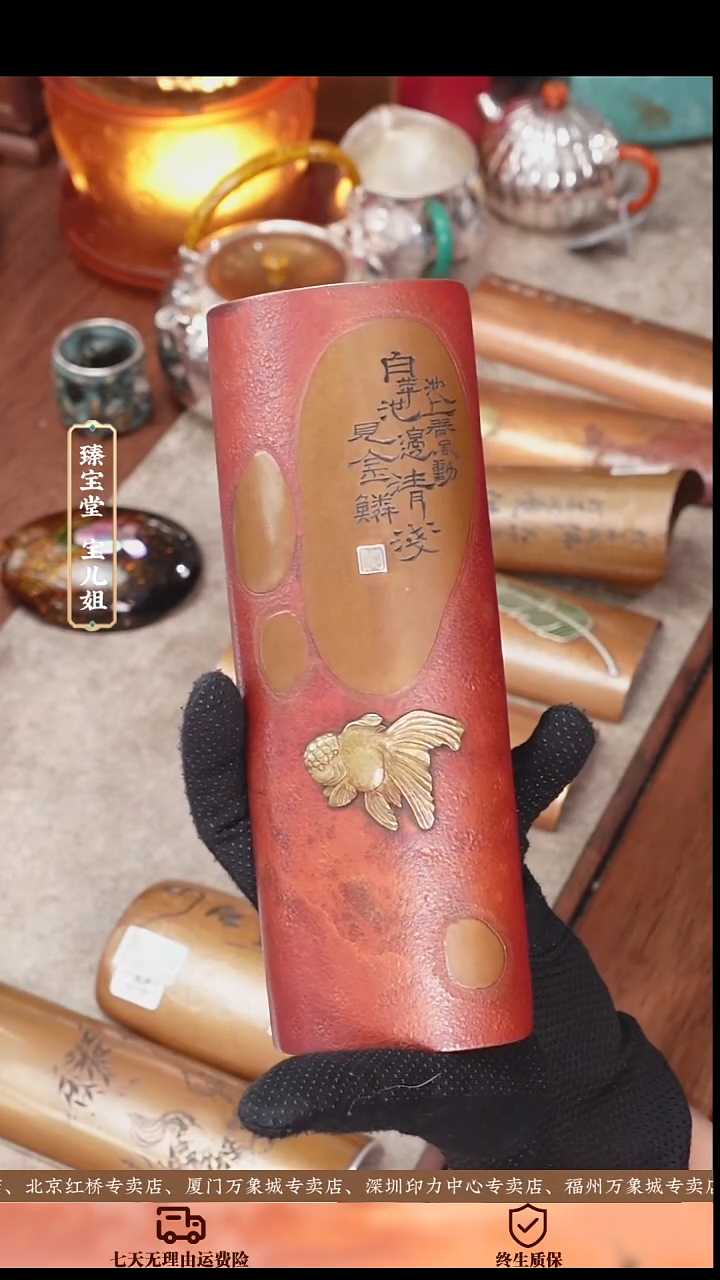 金鳞茶荷金鳞茶荷金鳞茶荷金鳞茶荷