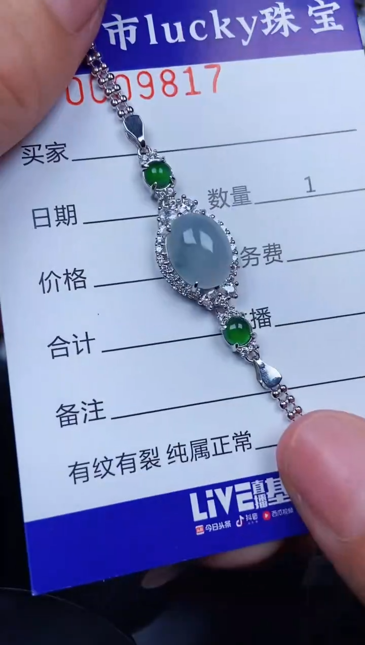 翡翠银S925镶嵌颈饰9817