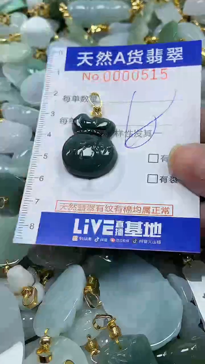 颈饰未镶嵌翡翠纯天然a货翡翠