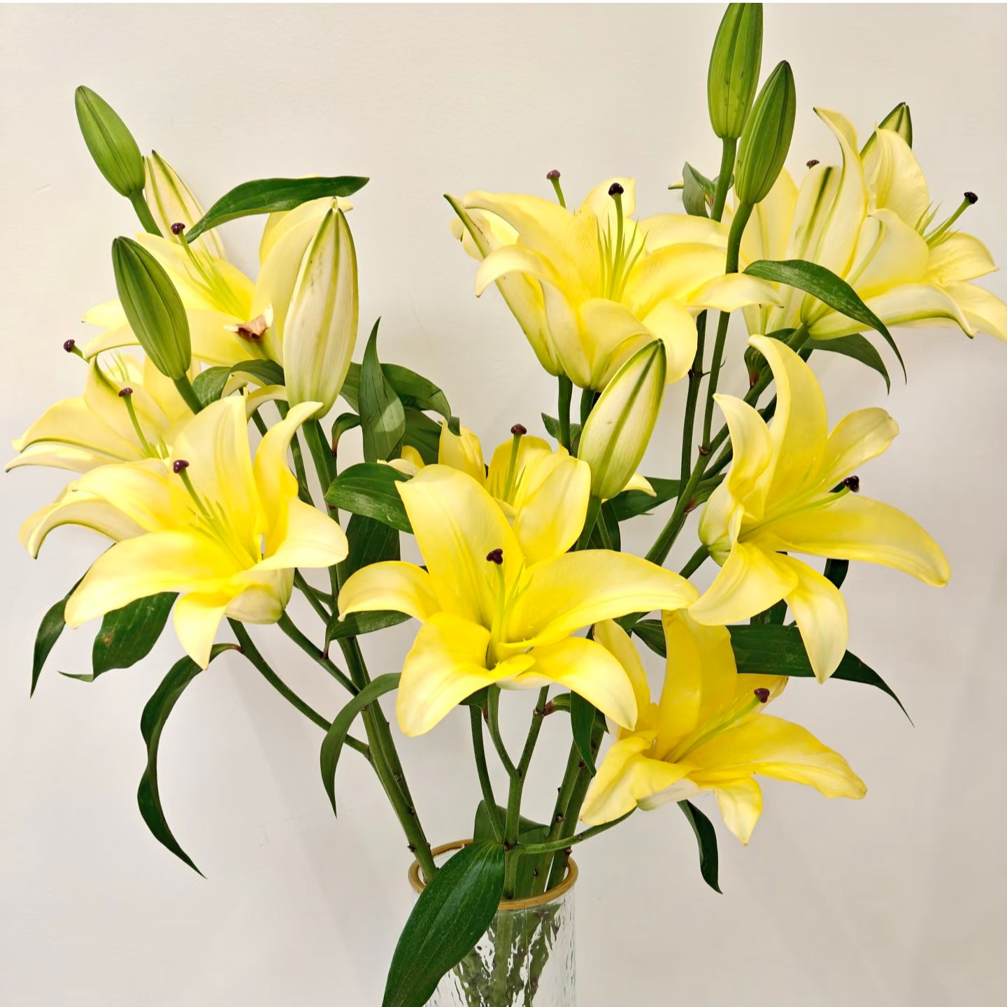 多头黄金甲香水百合-任意两单发顺丰